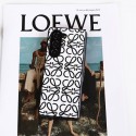 LOEWE ロエベ galaxy z flip6 fold6 ケースハイブランドハイブランドギャラクシー z フリップ5 4 6ケースブランドギャラクシーZ フォールド6 5 4 3 2ケース男女galaxy z flip5 4 6ケース